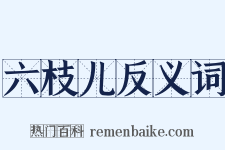 六枝儿反义词是什么意思的图片
